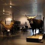 Ausstellungsraum Landwirtschaft Foto: G. Lips